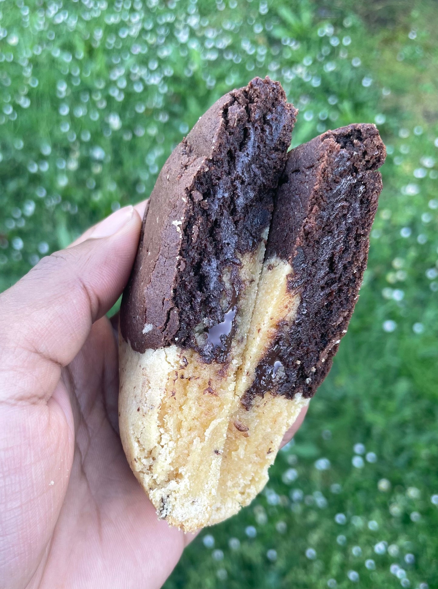 Brookie