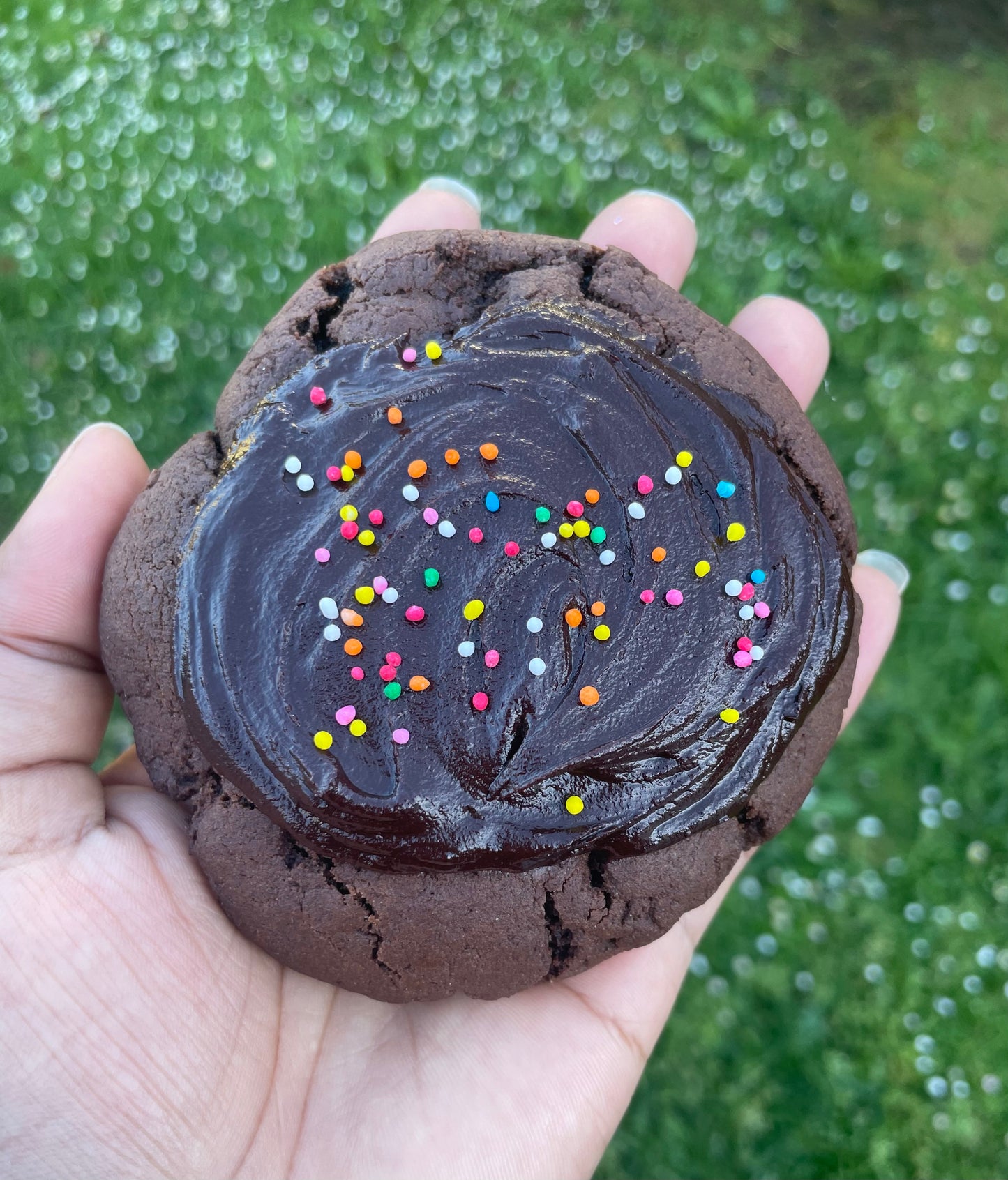 Cosmic Brownie