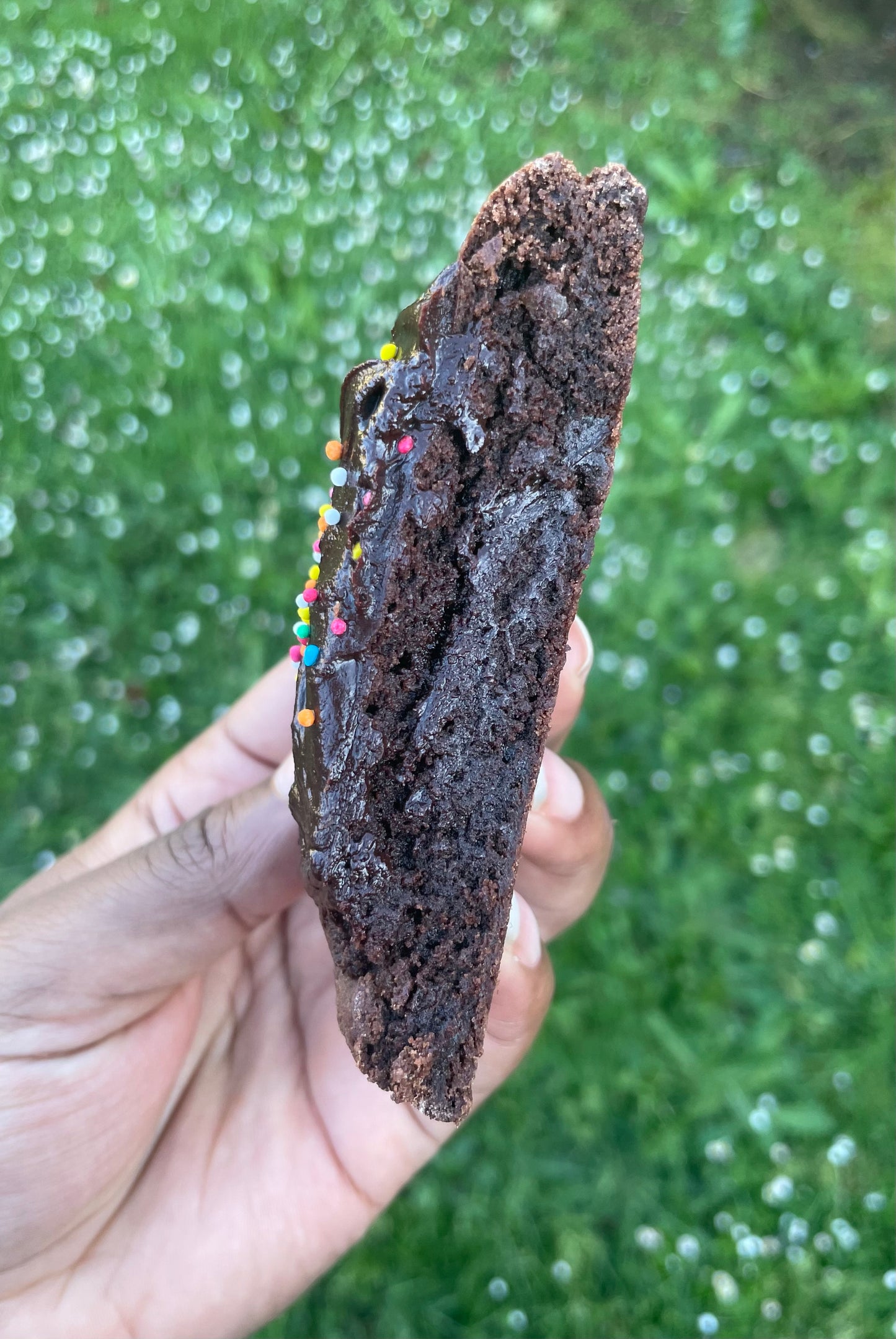 Cosmic Brownie