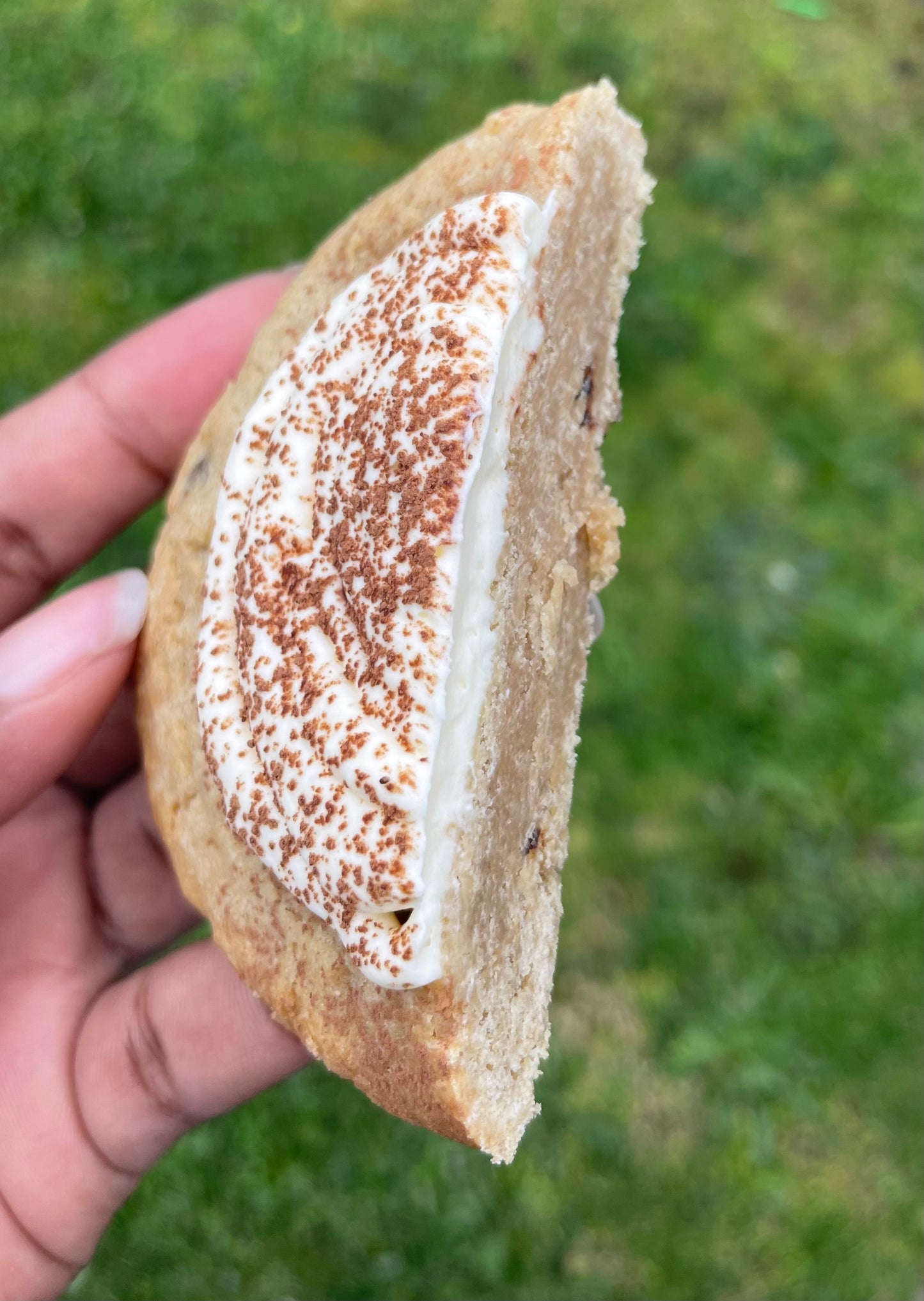 Tiramisu Treat