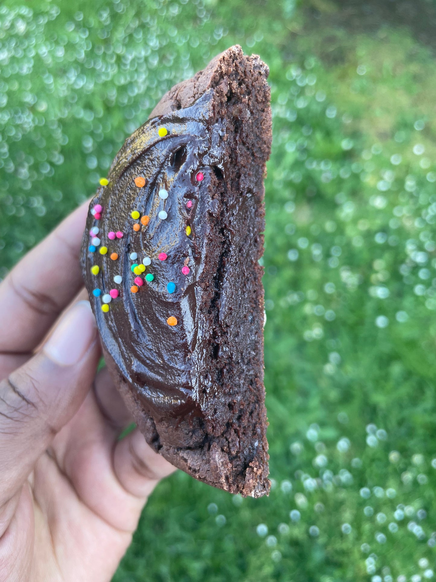 Cosmic Brownie