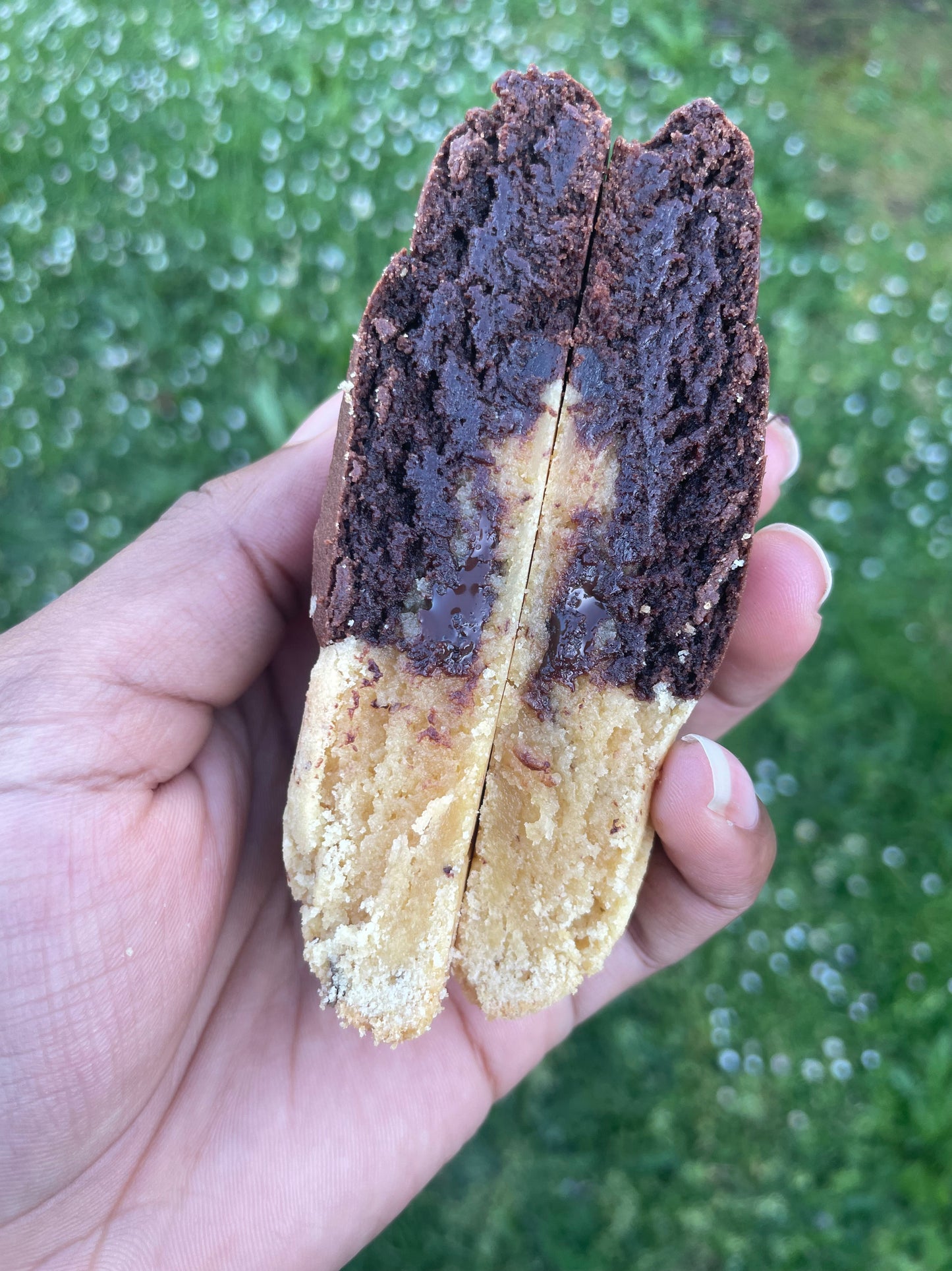 Brookie
