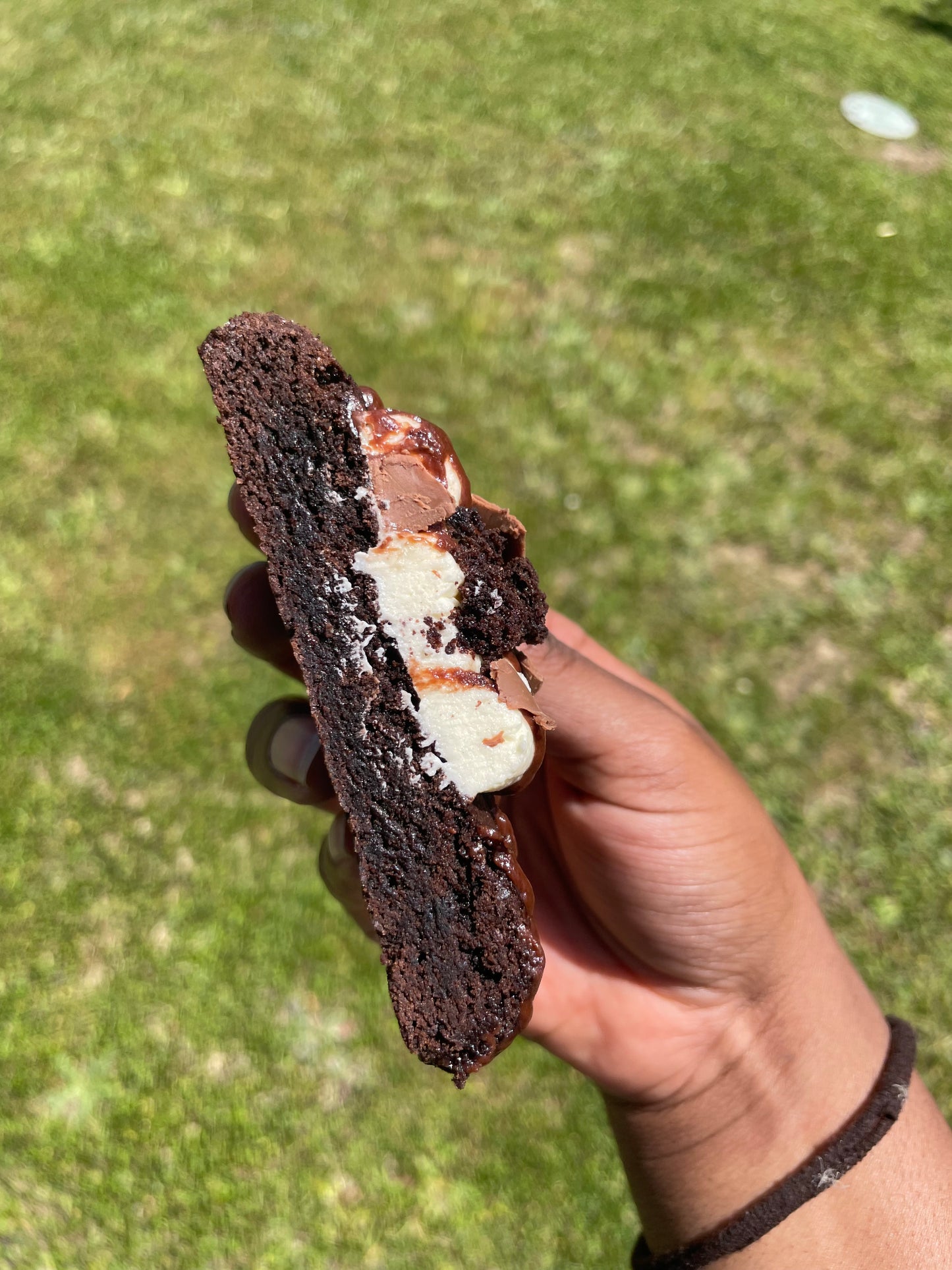 Triple Choc Fudge