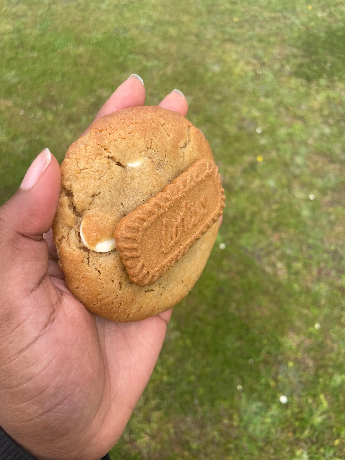 Biscoff Bliss