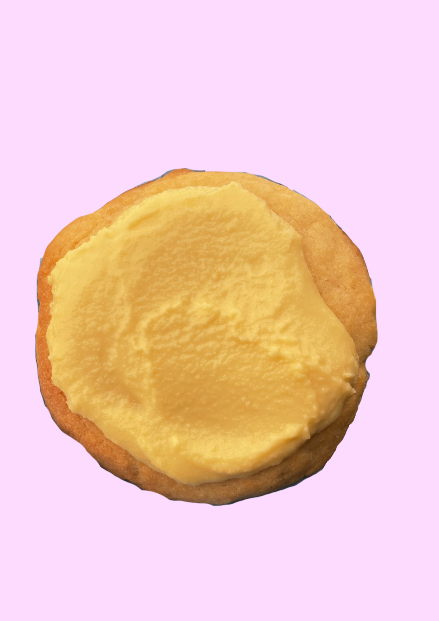 Raspberry White Choc